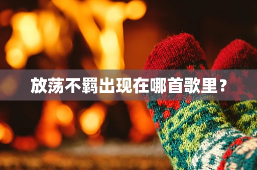 放荡不羁出现在哪首歌里？