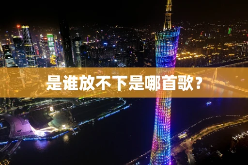 是谁放不下是哪首歌？