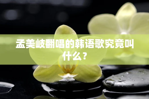 孟美岐翻唱的韩语歌究竟叫什么？