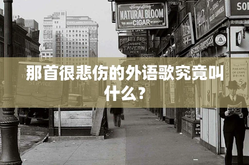 那首很悲伤的外语歌究竟叫什么？