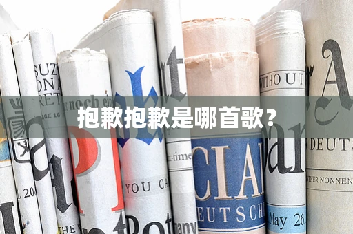 抱歉抱歉是哪首歌？
