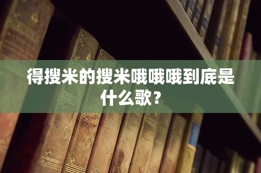 得搜米的搜米哦哦哦到底是什么歌？
