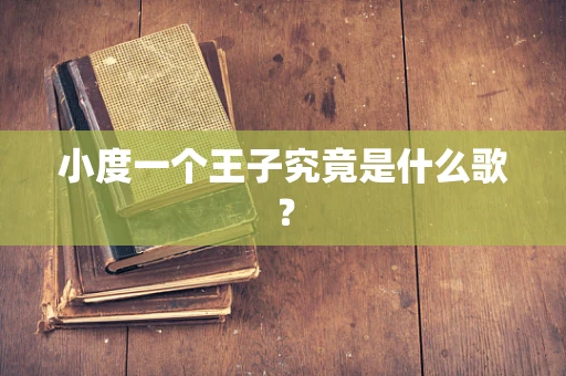 小度一个王子究竟是什么歌？