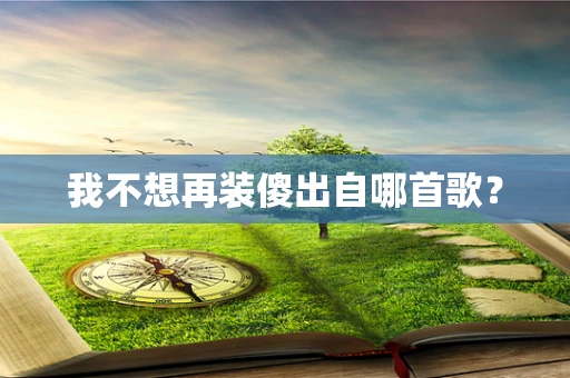 我不想再装傻出自哪首歌？