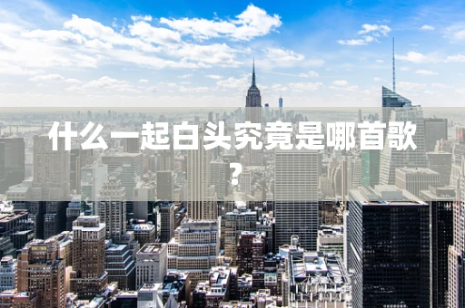 什么一起白头究竟是哪首歌？