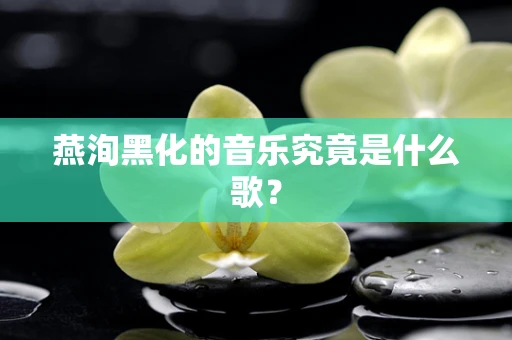燕洵黑化的音乐究竟是什么歌？