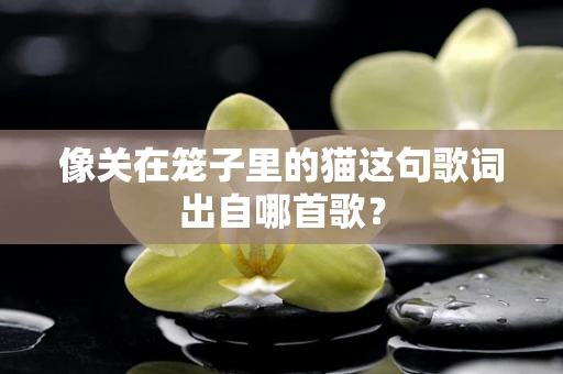 像关在笼子里的猫这句歌词出自哪首歌？