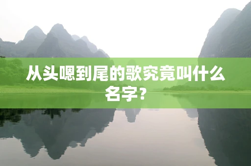 从头嗯到尾的歌究竟叫什么名字？
