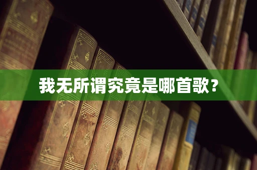 我无所谓究竟是哪首歌？