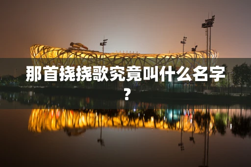 那首挠挠歌究竟叫什么名字？
