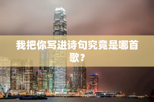 我把你写进诗句究竟是哪首歌？