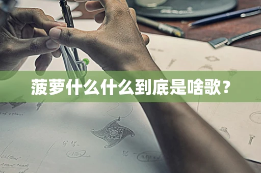 菠萝什么什么到底是啥歌？