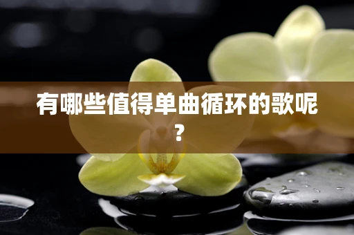 有哪些值得单曲循环的歌呢？