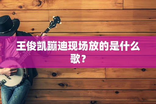 王俊凯蹦迪现场放的是什么歌？