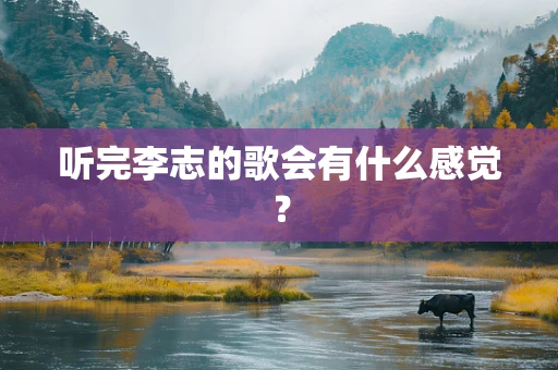 听完李志的歌会有什么感觉？