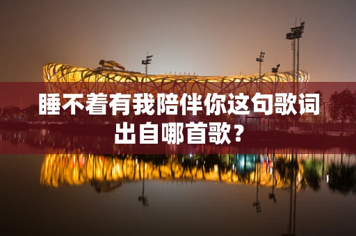 睡不着有我陪伴你这句歌词出自哪首歌？