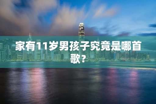 家有11岁男孩子究竟是哪首歌？