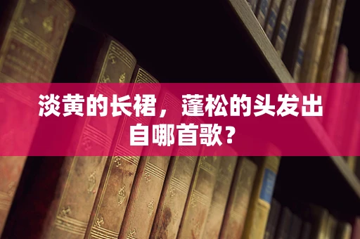淡黄的长裙，蓬松的头发出自哪首歌？