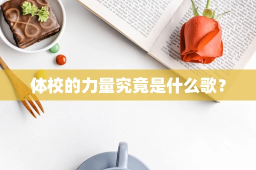 体校的力量究竟是什么歌？