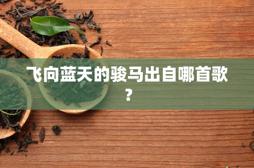 飞向蓝天的骏马出自哪首歌？