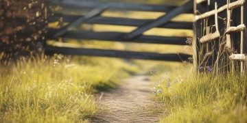 门前的小路好走吗究竟是哪首歌？