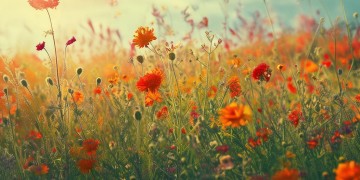 感情疯长似野草究竟是哪首歌？