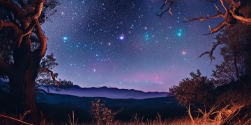 陪你看星星对白究竟是哪首歌？