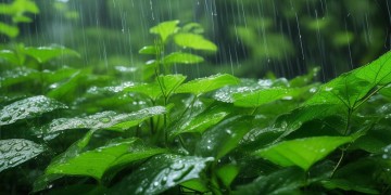 轻快的大雨还在下究竟是哪首歌？
