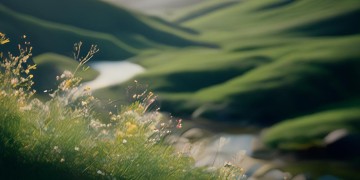 人生只为追求自由究竟是哪首歌？