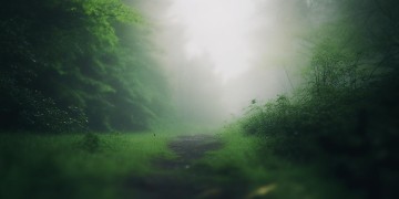 让我孤独的离去究竟是哪首歌？