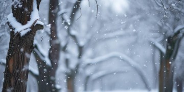 雪花飘飘落在脸上是哪首歌？