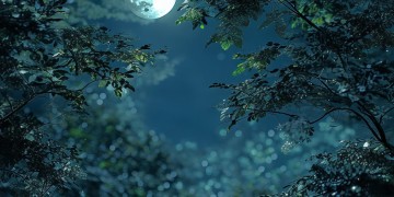 月亮代替我晚安究竟出自哪首歌？