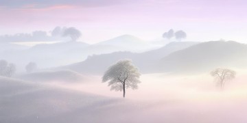 你是这个世界的善意出自哪首歌？