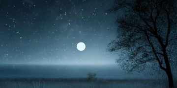 夜深的孤独与悲伤究竟是哪首歌？