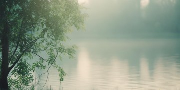 我真的好想回到这句歌词出自哪首歌？