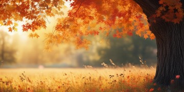 什么能唱出秋天的歌？