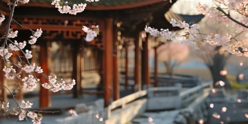 孔子说爱情究竟是哪首歌？