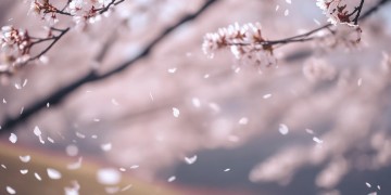 此生我不敢向往出自哪首歌？