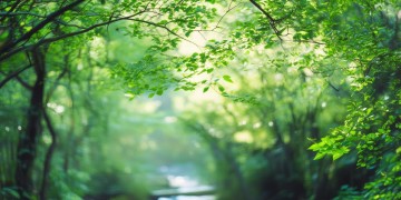 林俊杰开头很棒的是哪首歌？