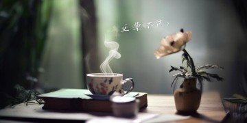生活别太累究竟是哪首歌的歌词？