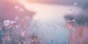 从此以后我是我你是你出自哪首歌？