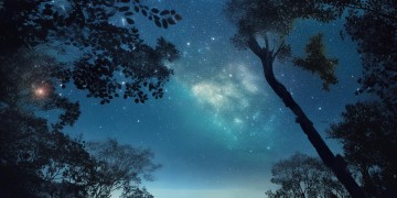 无论星河多遥远出自哪首歌？