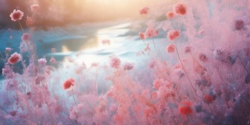 阿佳噜啊佳野究竟是哪首歌？