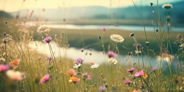 我想听故乡的故事是哪首歌？