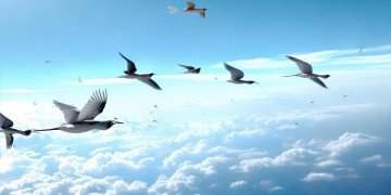 空中飞翔好吗究竟出自哪首歌？