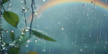 下过雨的天出自哪首歌？