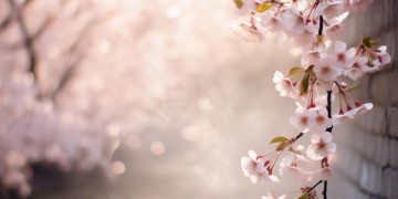 为什么有些歌会如此甜呢？