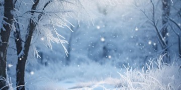 不怕刺骨的寒冬究竟是哪首歌？