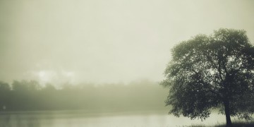 以孤独为伴究竟是哪首歌？