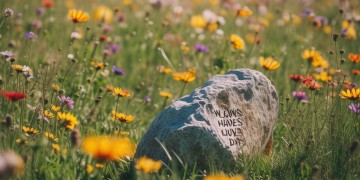 我们总有出头之日出自哪首歌？